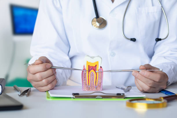 Best Urgent Tooth Repair  in Rutherfordton, NC